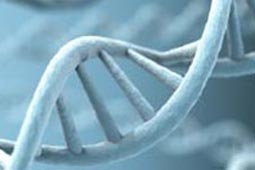 电话轰炸机官网